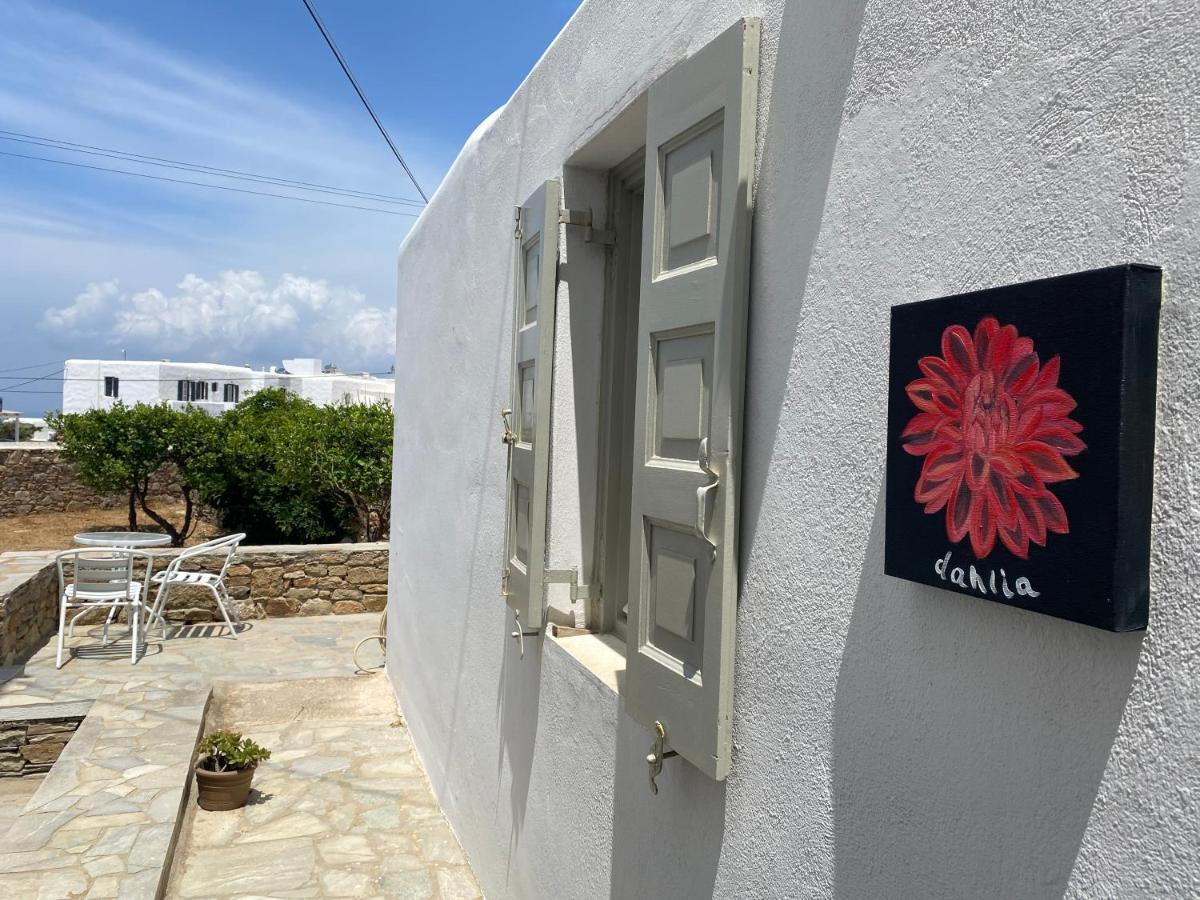 Sing And Blossom Accommodation Mykonos Town Bagian luar foto