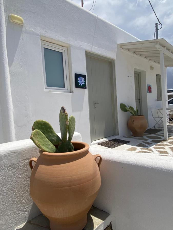 Sing And Blossom Accommodation Mykonos Town Bagian luar foto